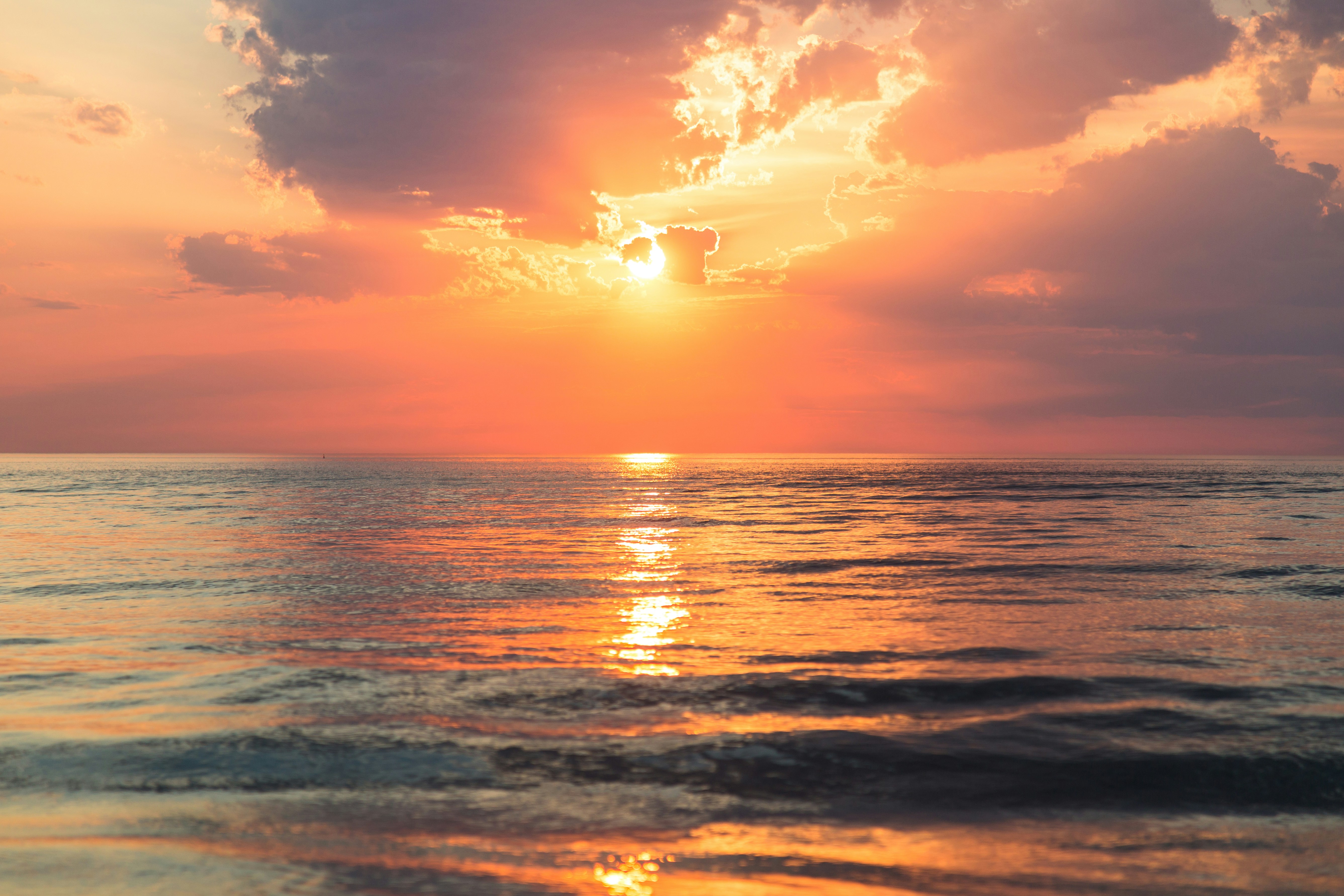 DISCOVER A NEW DAWN